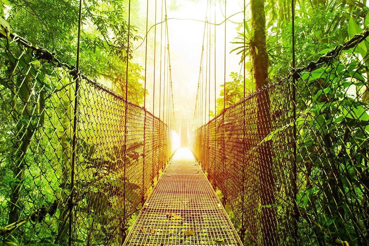 Costa Rica Travel Guide