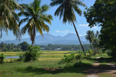 Puerto Princesa Weather And Climate