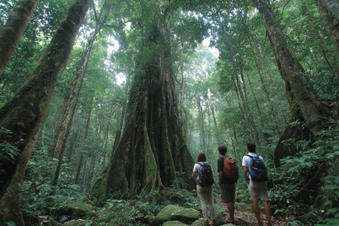 Puerto Princesa Eco Tourism