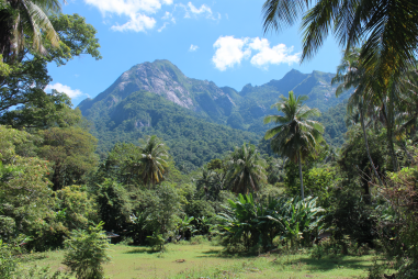 Camiguin Nature Parks