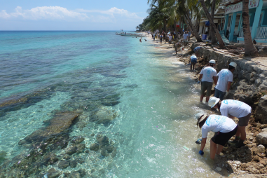 Oslob Sustainable Tourism