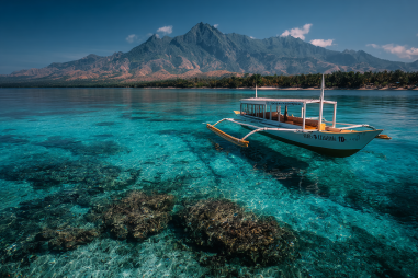 Apo Island Boat Tours