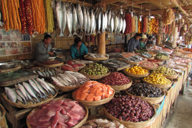 Apo Island Cultural Attractions