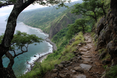 Apo Island Hiking Trails