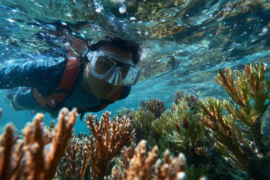 Apo Island Snorkeling Safety Tips
