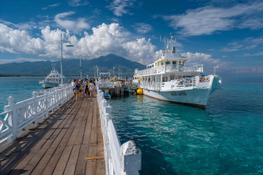 Apo Island Day Trips From Dumaguete