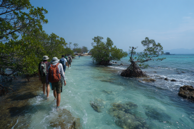 Kalanggaman Island Eco Tours