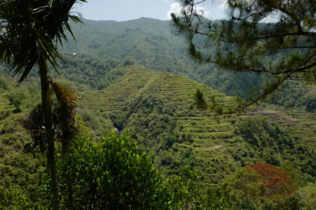 Green rice terraces carved into a steep valley near Banaue in Ifugao