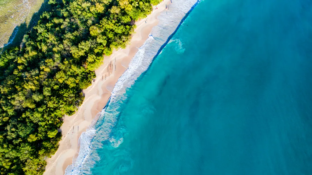 Aerial view of Les Salines beach in southern Martinique with green forest along turquoise water