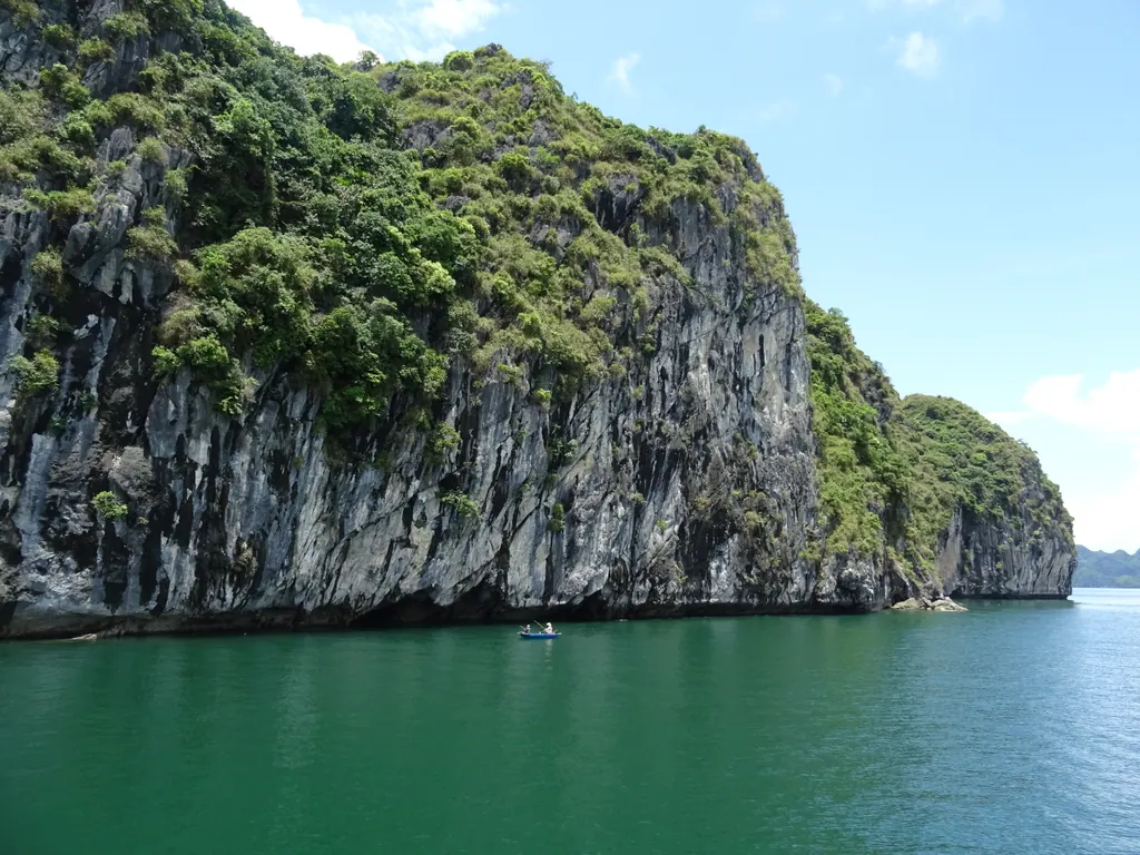 Forested limestone cliffs rising from green water in Lan Ha Bay, with a small boat below