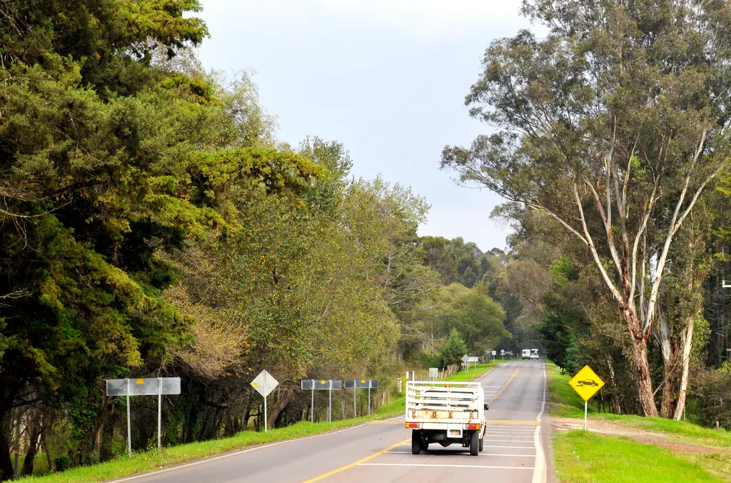 A two-lane Mexican highway lined with trees and a yellow speed bump warning sign