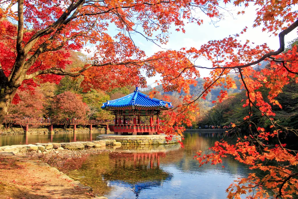 Red and orange maple leaves framing a blue roofed pavilion on a pond in Naejangsan National Park in autumn