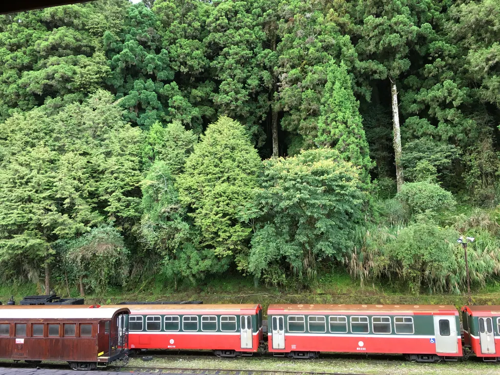 Narrow gauge train of the Alishan Forest Railway parked at a station beside dense green forest