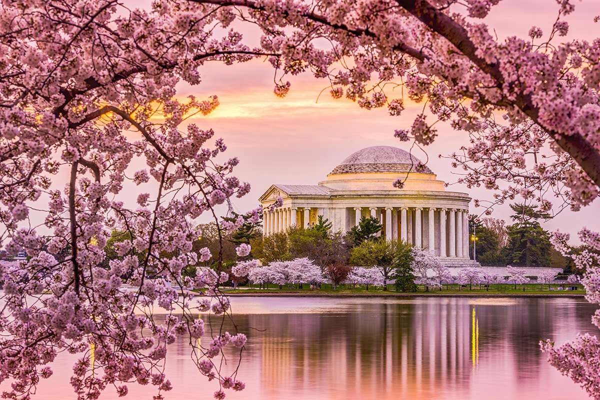 Washington Travel Guide