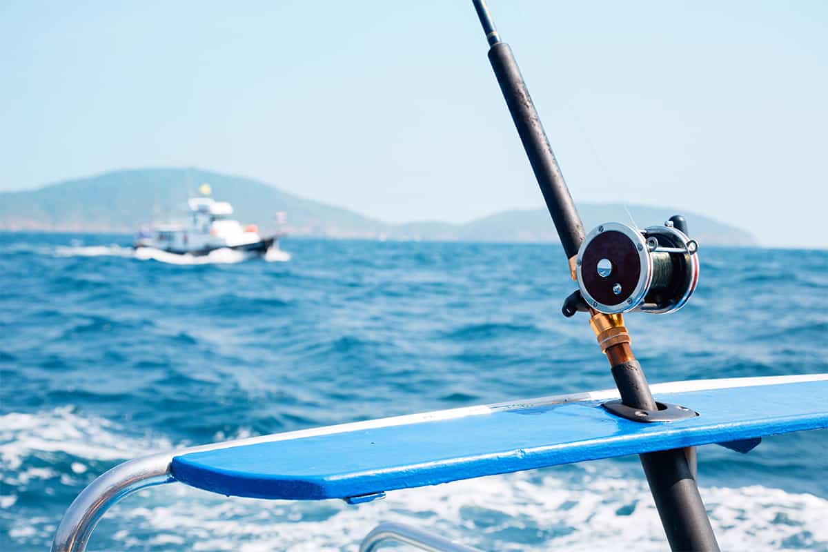 What Fish Do You Catch in Cabo