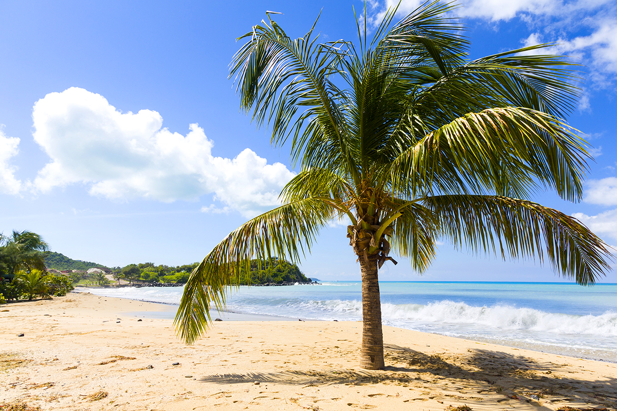What Are the Beaches Like in Saint Martin