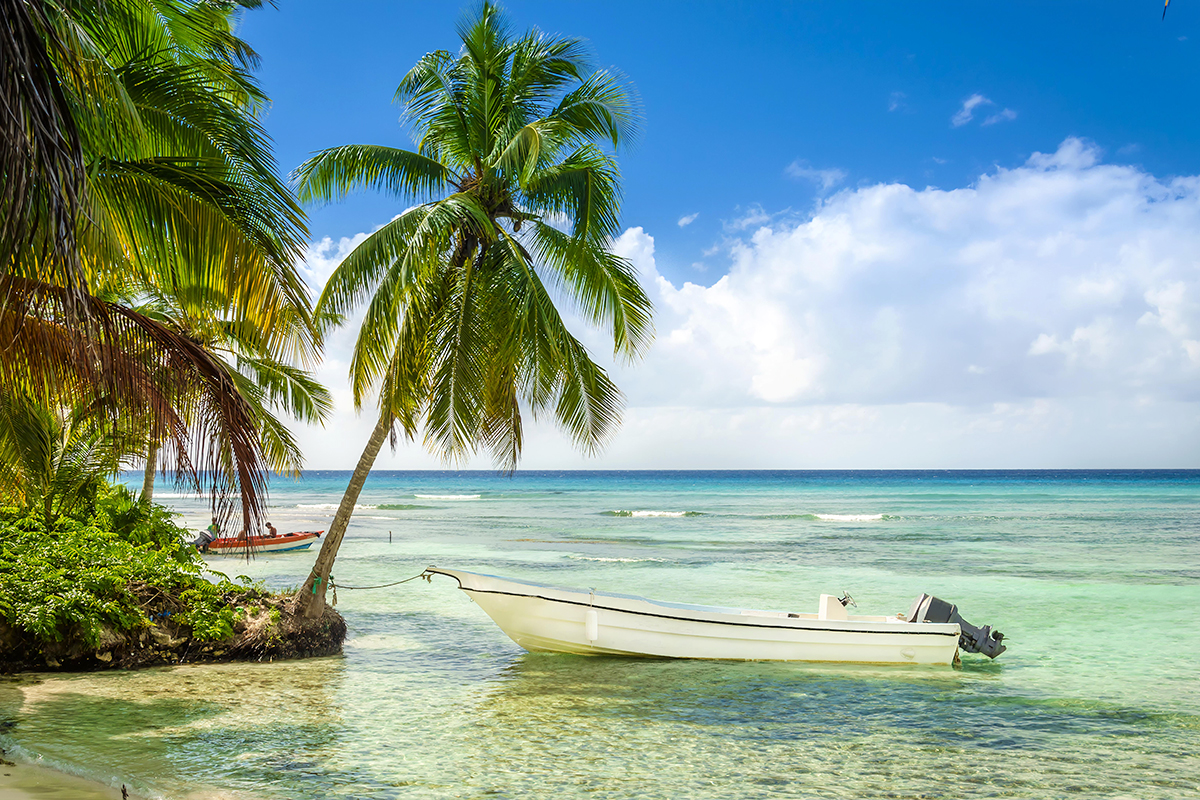 Saint Martin vs. Martinique