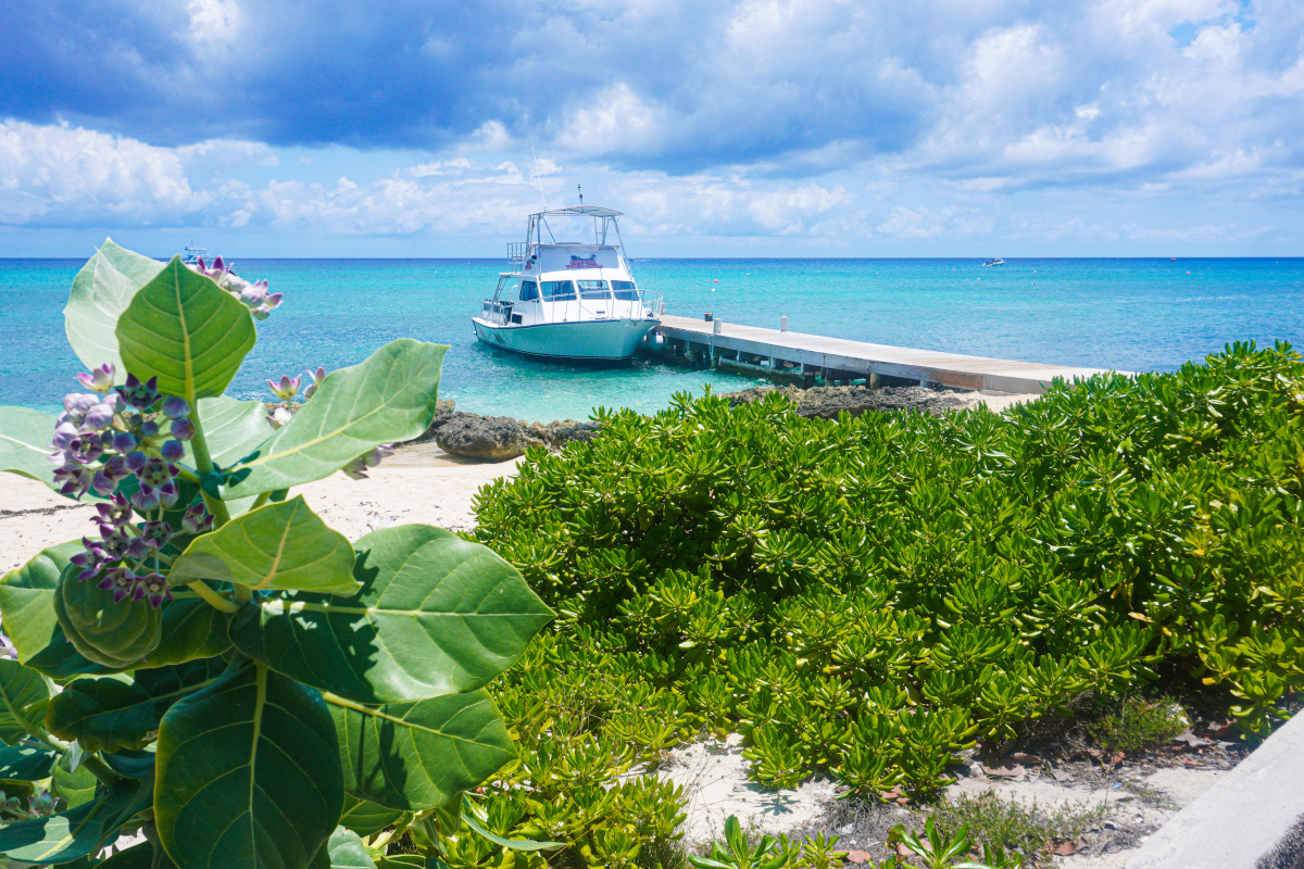 How Do You Get Around in Grand Cayman?