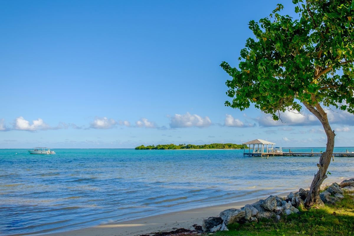 Grand Cayman vs. Little Cayman vs. Cayman Brac