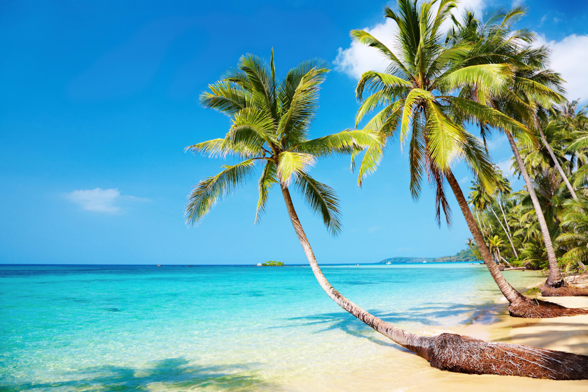 Everything You Need to Know About Cayman Brac