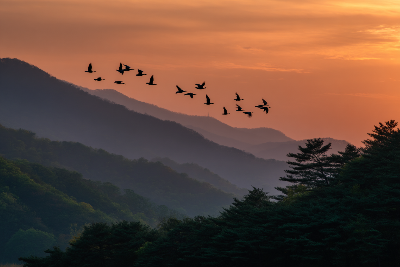 Dmz Wildlife And Nature