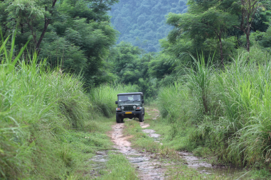 Chitwan National Park Safari
