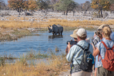 Chitwan Wildlife Tours