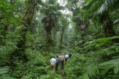 Chitwan National Park Jungle Walks
