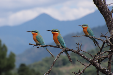 Chitwan Bird Watching Guide