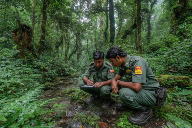 Chitwan National Park Conservation Efforts