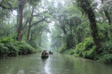 Chitwan River Canoe Safari