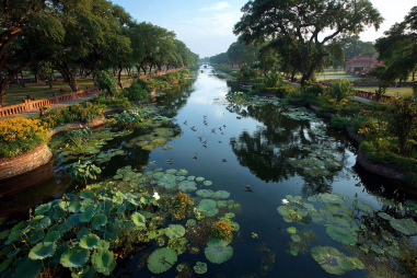 Lumbini Nature And Surroundings