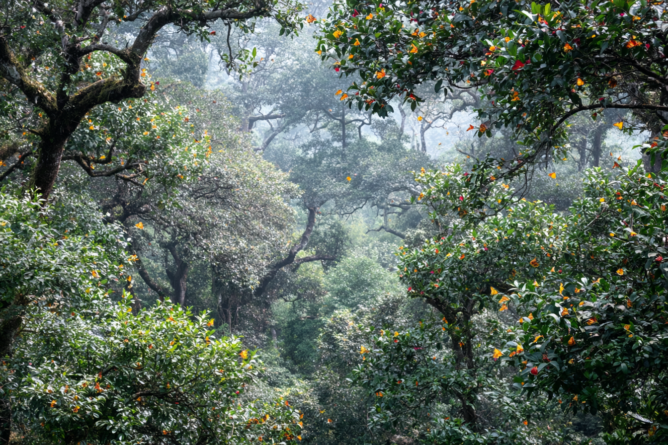 Bandipur Wildlife And Nature