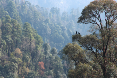 Gorkha Wildlife And Nature
