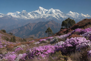 Gorkha Best Time To Visit