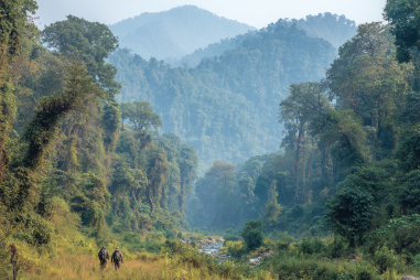Bardia National Park Trekking Routes