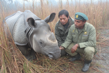 Bardia National Park Conservation Efforts