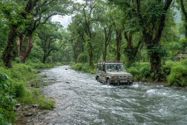 Bardia National Park Jeep Safari