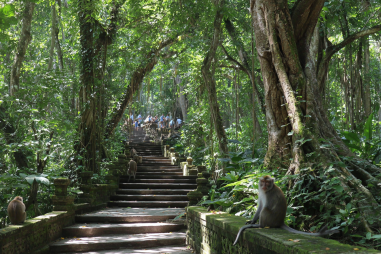 Ubud Attractions
