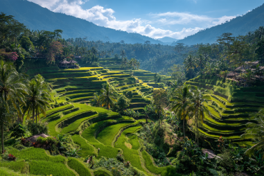 Ubud Rice Terraces
