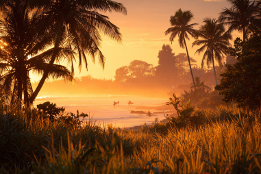 Canggu Travel Guide
