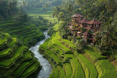 Kuta Eco-tourism